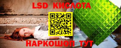 прущие крисы Моздок