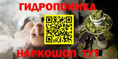 прущие крисы Моздок