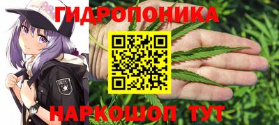 прущие крисы Моздок